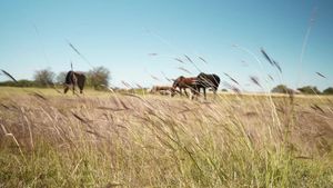 Image post by @TetonRidgeUSA on Facebook