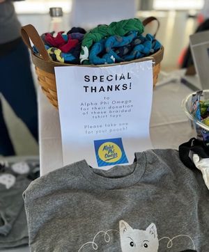 Image post by @apo.mu on Instagram