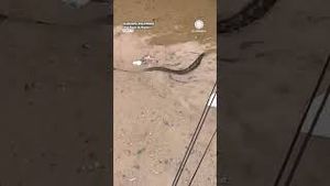 Video post by @accuweather on YouTube