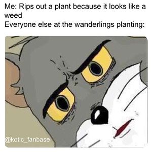 Image post by @fantasy_fanbase on Instagram