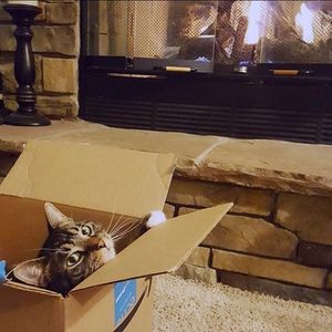 Image post by @amazon on Instagram