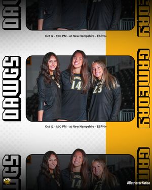 Image post by @umbcathletics on Instagram