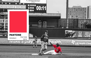Image post by @saltdogsball on Instagram