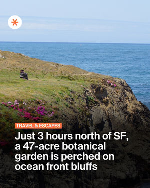 Image post by @secret_sanfrancisco on Instagram