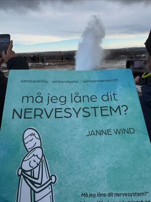 Image post by @jannewind on Instagram