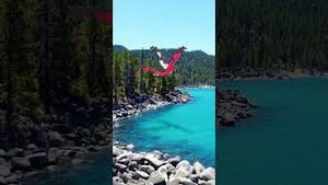 Video post by @Pokémon GO on YouTube