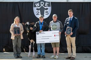 Image post by @wdexpo on Instagram