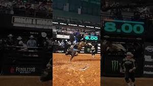 Video post by @pbr on YouTube