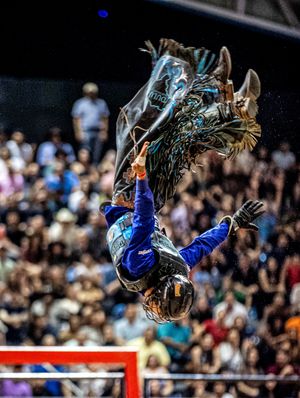 Image post by @pbrbrazil on Instagram