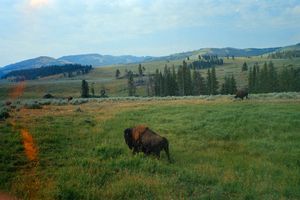 Image post by @benjaminalbuisson on Instagram