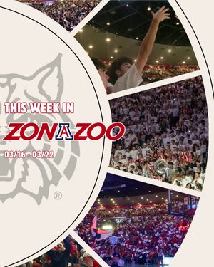 Image post by @zonazooofficial on Instagram