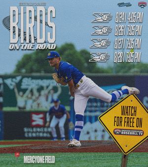 Image post by @canaries_baseball on Instagram