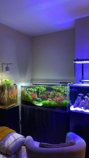 Video post by @aqualupi on Instagram
