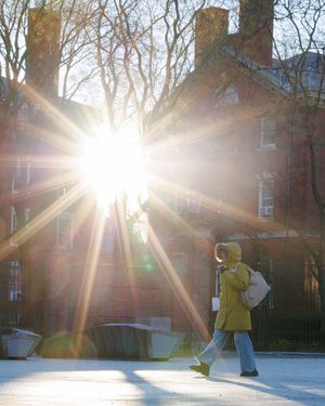 Image post by @harvard on Instagram