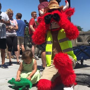 Image post by @bennythebull on Instagram