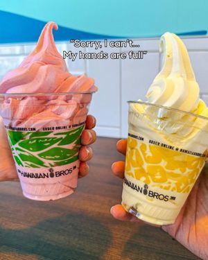 Image post by @hawaiianbros on Instagram