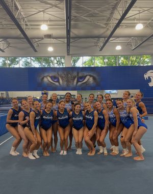 Image post by @ukgymnastics on Instagram