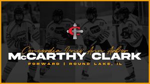 Image post by @chicagocougarshockey on Instagram