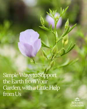 Image post by @rogersgardens on Instagram