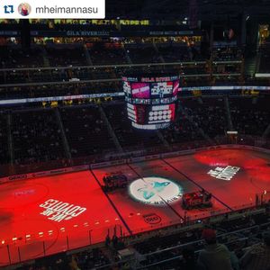 Image post by @arizonacoyotes on Instagram