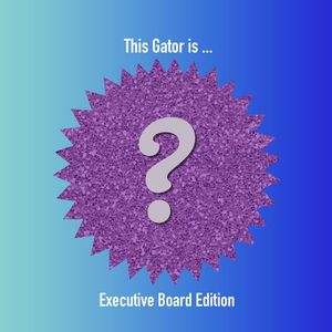 Image post by @ufgatornights on Instagram