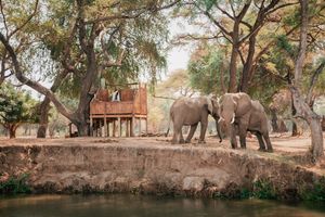 Image post by @chiawasafaris on Instagram