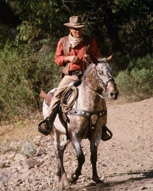 Image post by @johnwayneofficial on Instagram