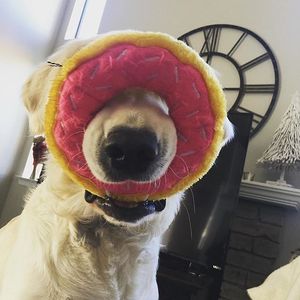 Image post by @amazon on Instagram