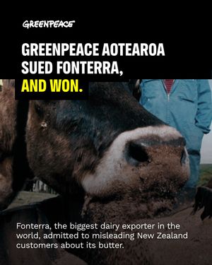 Image post by @greenpeace on Instagram