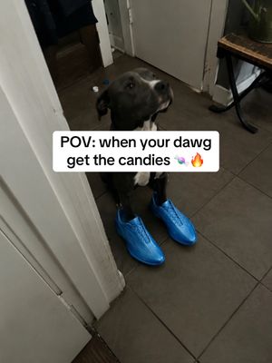 Video post by @brkicks on TikTok