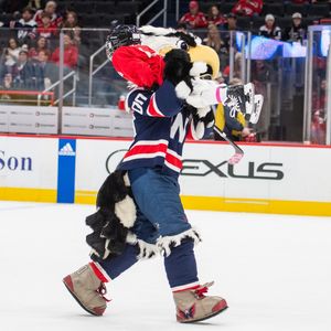 Image post by @caps_slapshot on Instagram