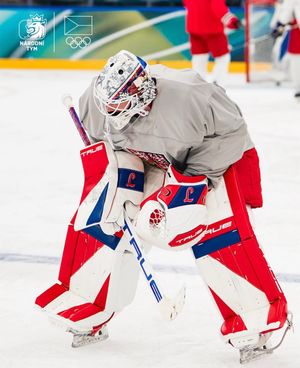 Image post by @truelefevre_goalie on Instagram