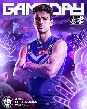 Image post by @freodockers on Instagram