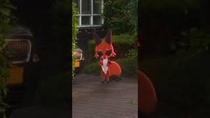Video post by @pokemongo on YouTube