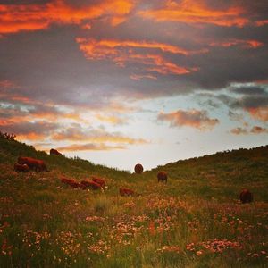 Image post by @skicrestedbutte on Instagram