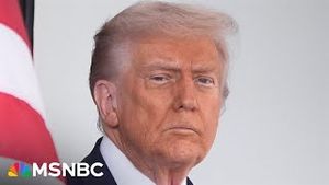 Video post by @msnbc on YouTube