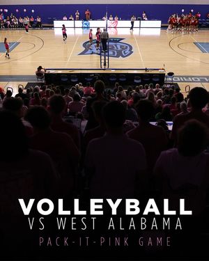 Image post by @jonrosestudios on Instagram