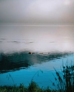 Image post by @shauns_shots on Instagram