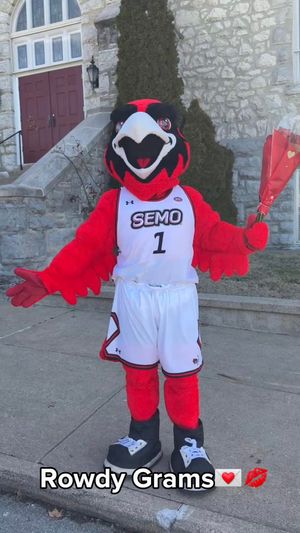 Video post by @semoredhawks on TikTok