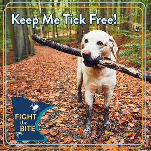 Image post by @mnhealth on Facebook