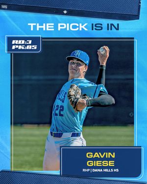 Image post by @RaysBaseball on Twitter