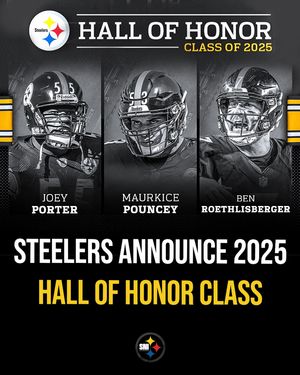 Image post by @steeler.nation.inc on Instagram