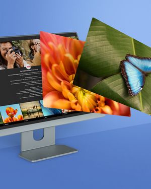 Image post by @saal_digital on Instagram