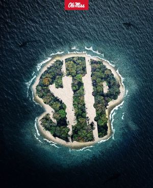 Image post by @RebelsFBRec on Twitter