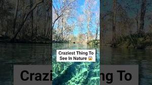 Video post by @followmeaway on YouTube