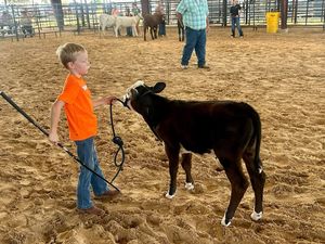 Image post by @fayettecofairtx on Instagram