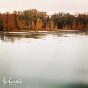 Video post by @AvondaleTravel on Facebook
