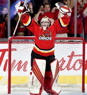 Image post by @ucalgarydinos on Instagram