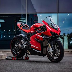 Image post by @panigalers on Instagram