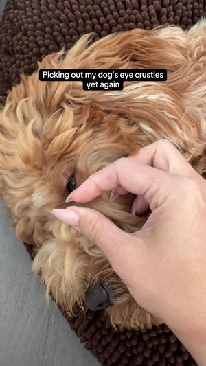 Video post by @tedflixnchill on TikTok